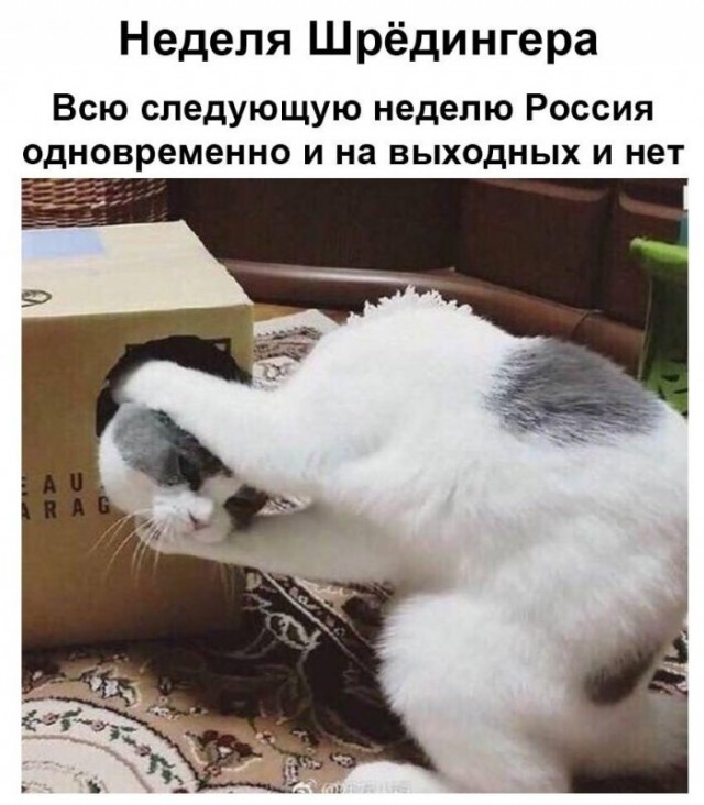 Бредзона 23.04.20
