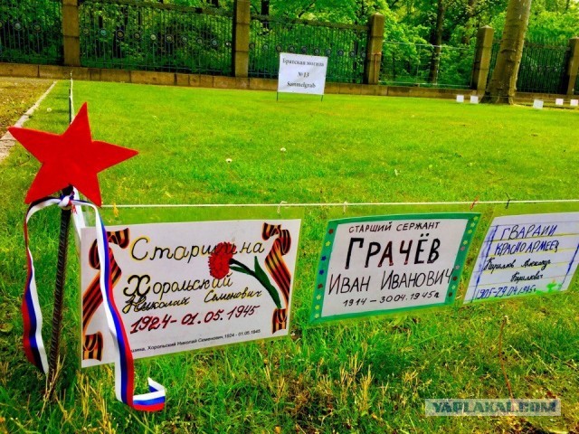 Пандемия. Коронавирус. Россия и мир. Последняя информация. Часть 15