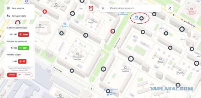 Неудобные вопросы о COVID: можно ли было обойтись без жесткого карантина?