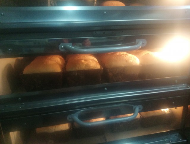 Хлеб заливной с солодом и ржаной мукой