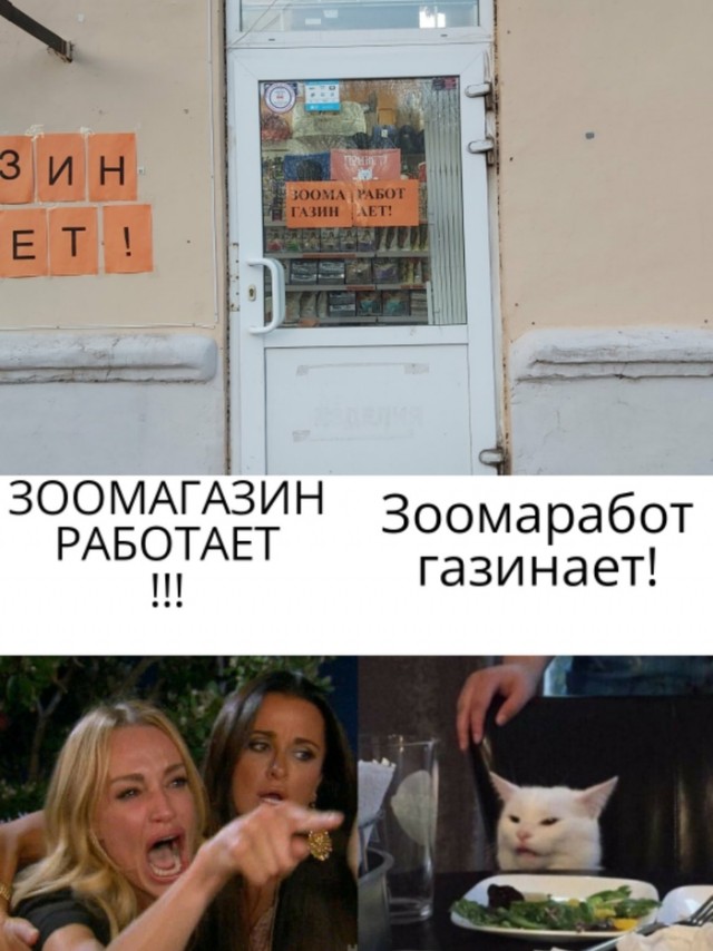 Прошёл целый год! А они всё орут на бедного котика