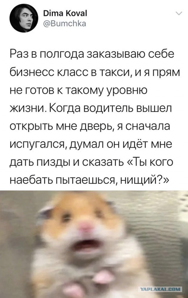 И что-то так обидно мне стало