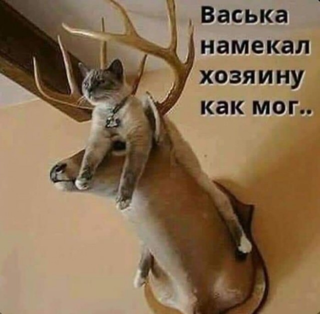 Юмор в картинках 26.09.20