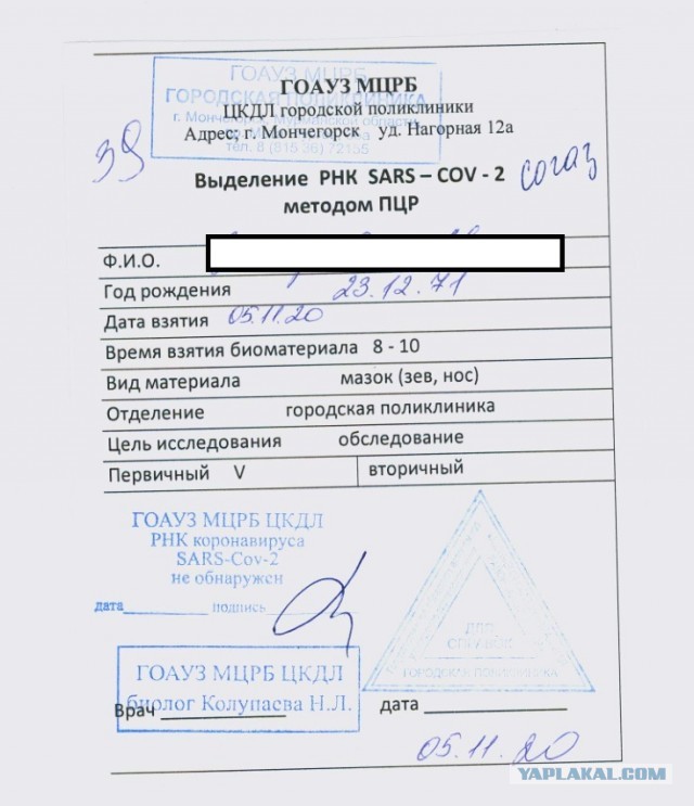 Курящие россияне рассказали, как пережили ковид и удивили Сеть