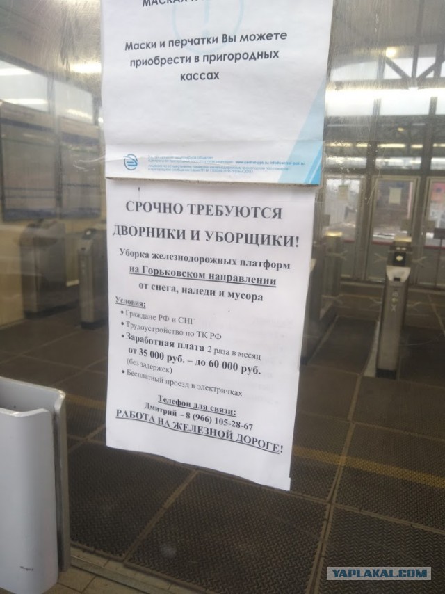Сколько зарабатывают в Испании сборщики апельсинов?