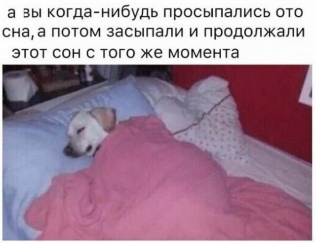 Картинки с надписями и всякие жизненные фразы 16.1.21