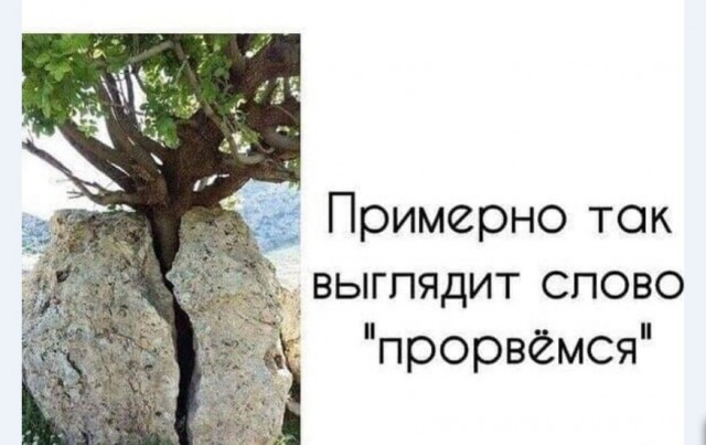 Картинки и мемы для настроения 019