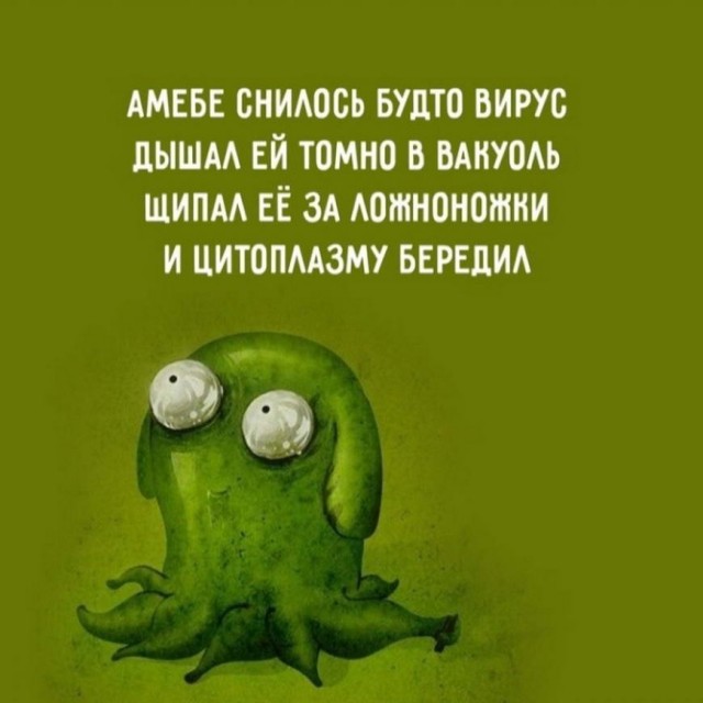 Картинки и мемы для настроения 30.01.21
