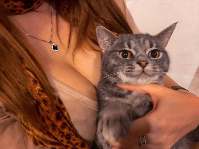 Девушки котовторника