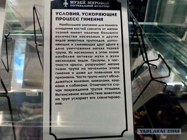 Что происходит с телом после смерти