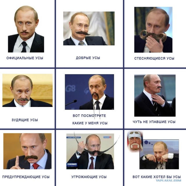 Ласковые усы
