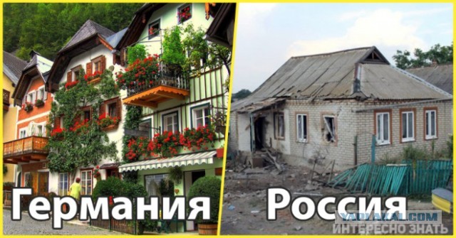 "Знакомая рассказала": Почему люди в деревнях перестали держать скотину