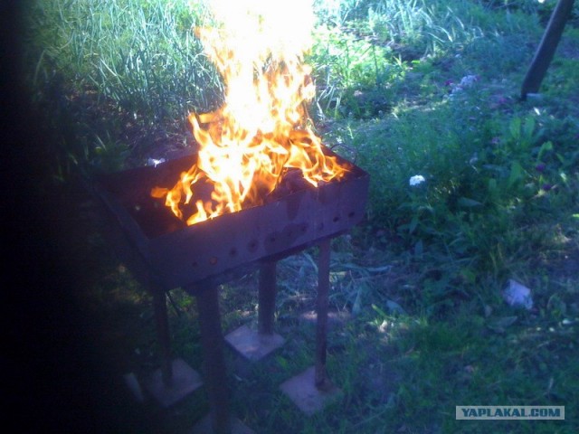 Все из рыбы!