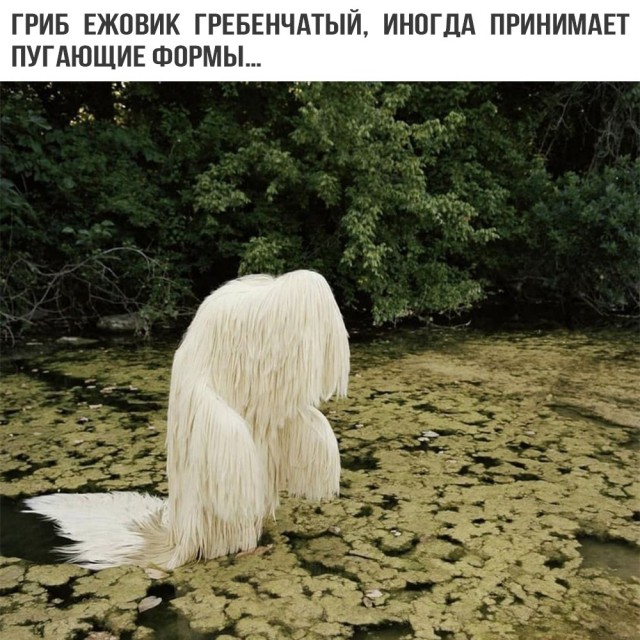 Картинки на вчера