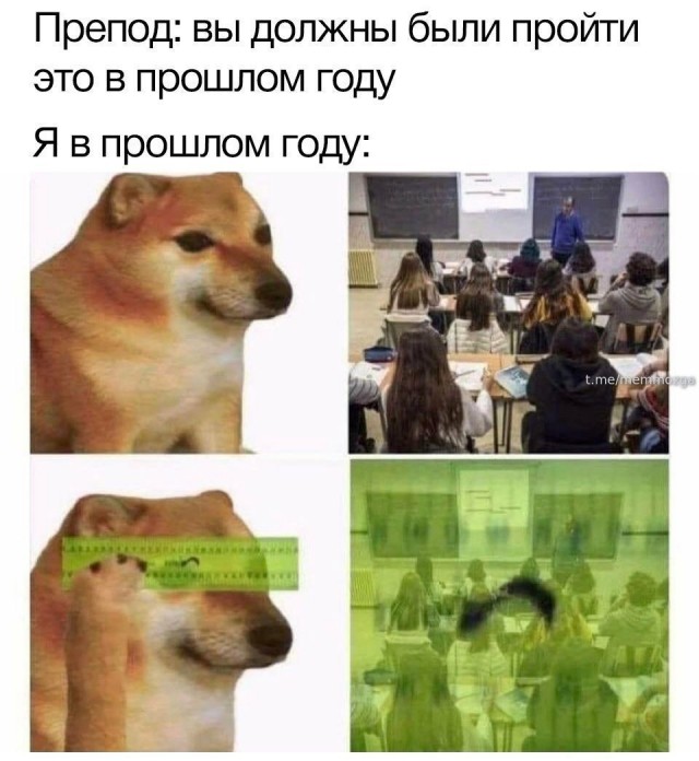 Весёлый полтишок 12.07