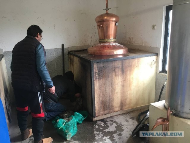 И у меня настал этот момент, коллеги