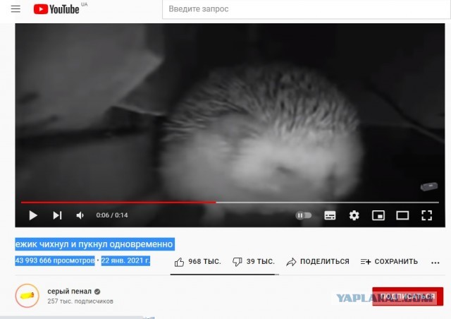 Бредзона 26.09.2021