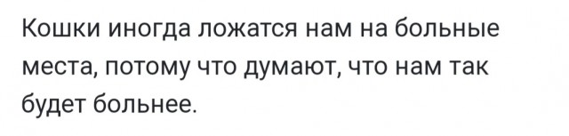Бредзона 10.10.2021