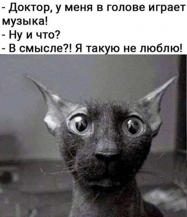 Не на нас, а на вас