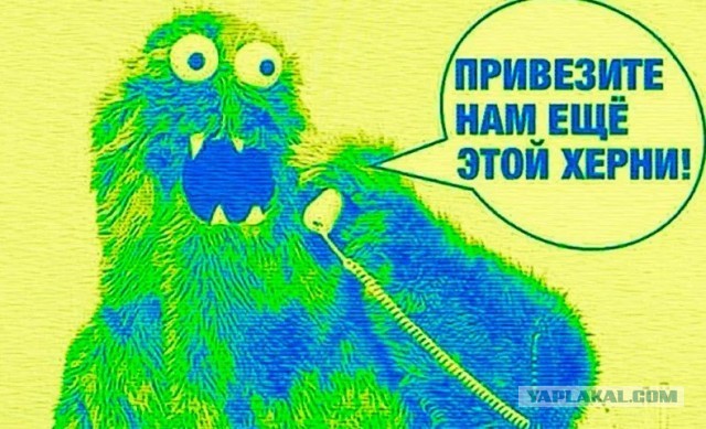 Ёжик на рентгене