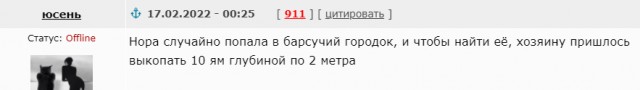 Охотник 5 дней искал собаку в барсучьих норах