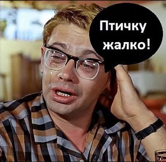 Хищник-убийца в каменных джунглях