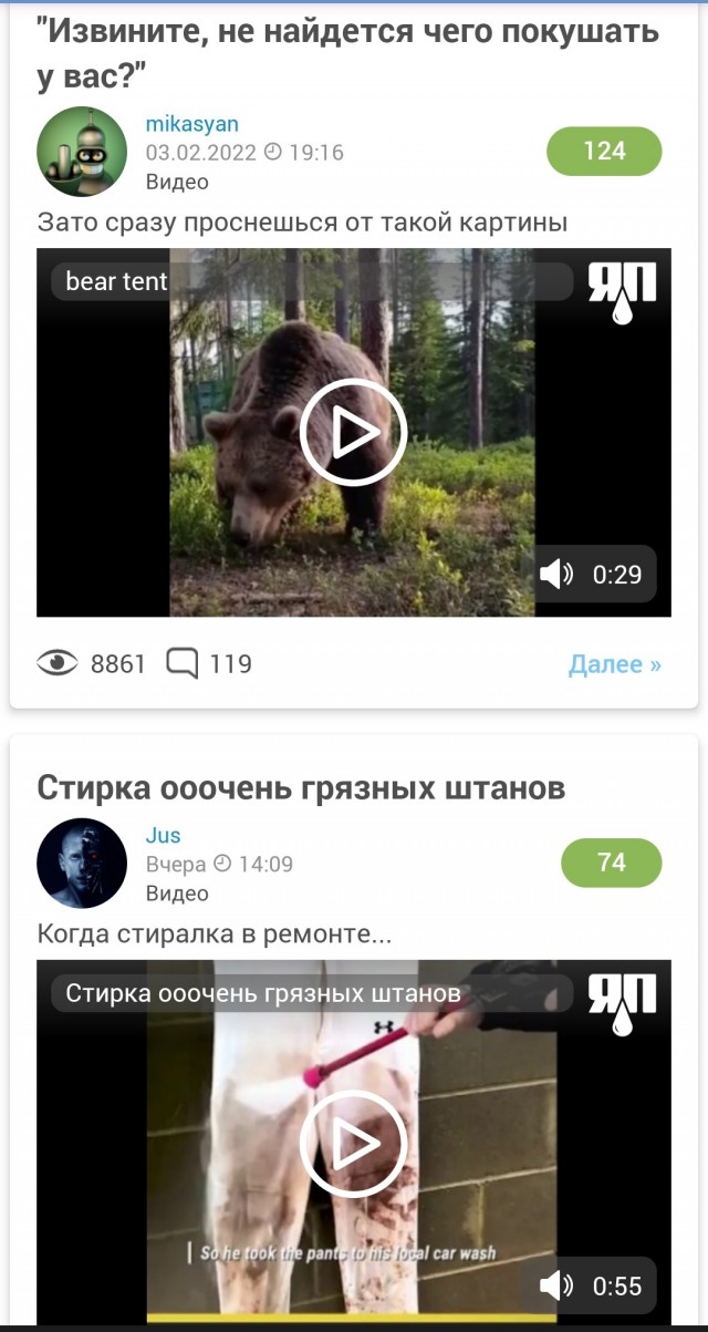 Хочешь утром вылезти из палатки, а там... медведь