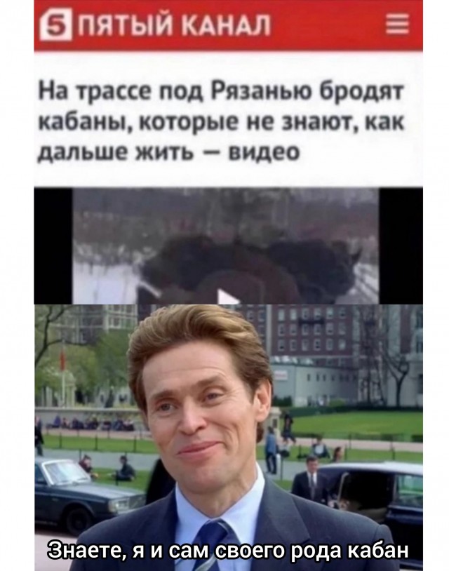 Чуток картинок. Для настроения