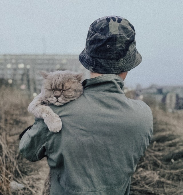 А вот и котовторник 24.05.2022