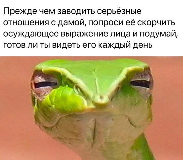 Так себе картинки 30.05.22