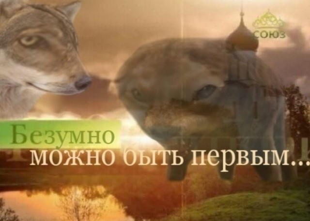 Ничто не предвещало беды