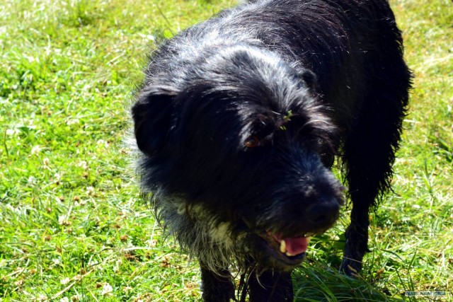 Отдых по-русски.