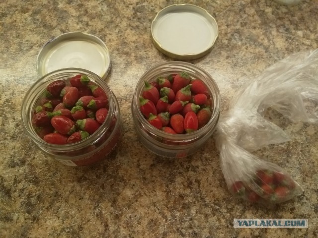 Нищебродам на заметку. Соус.