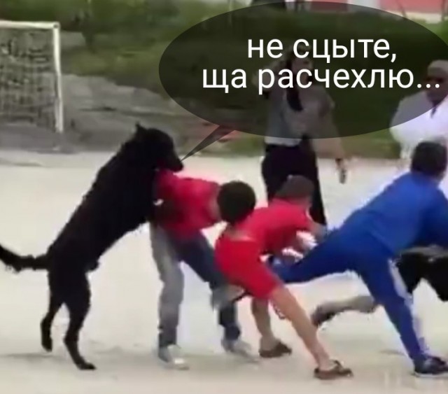 Он помогает