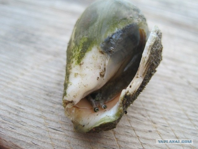 Путешествие Геленджик-Турция