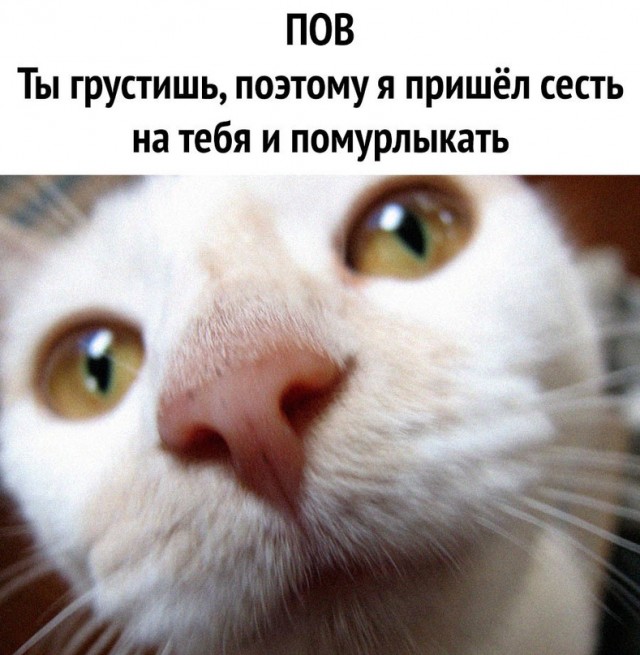 Картинки и мемы, всем хороших выходных