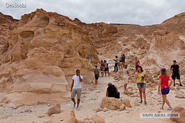 Синайские приключения. Шарм-эш-Шейх и окресности
