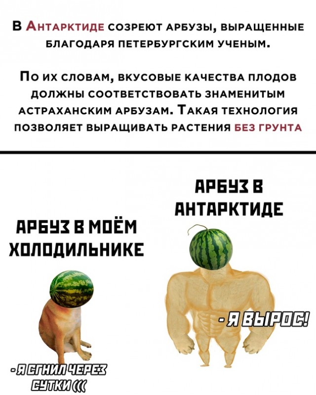 Картинки и мемы, всем хороших выходных