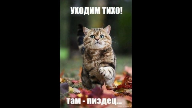 Минет по праздникам