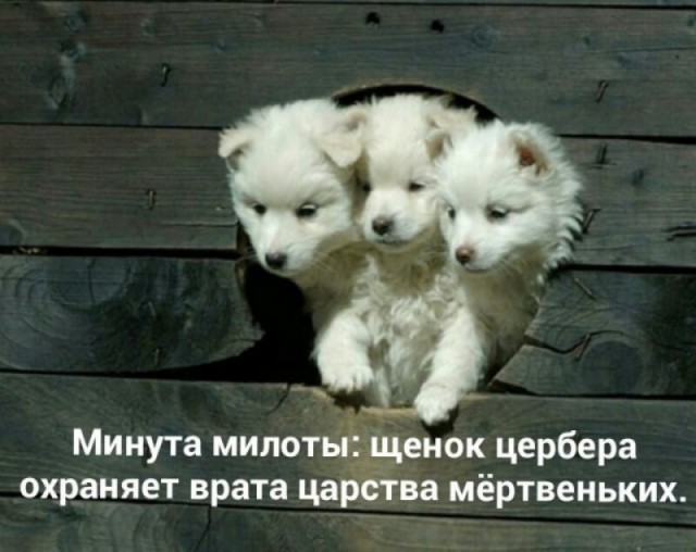 Побег от серых будней