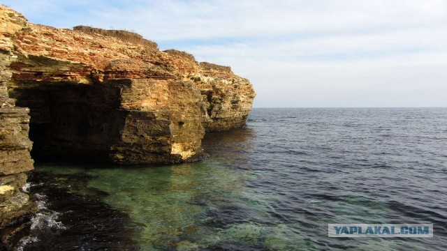 Крым в феврале или "Не стреляйте в белых лебедей!"