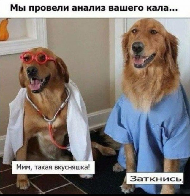 Лизун пучеглазый