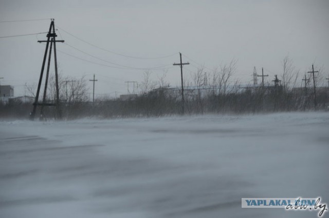 Дорога, которой нет: зимник Вуктыл - Воркута