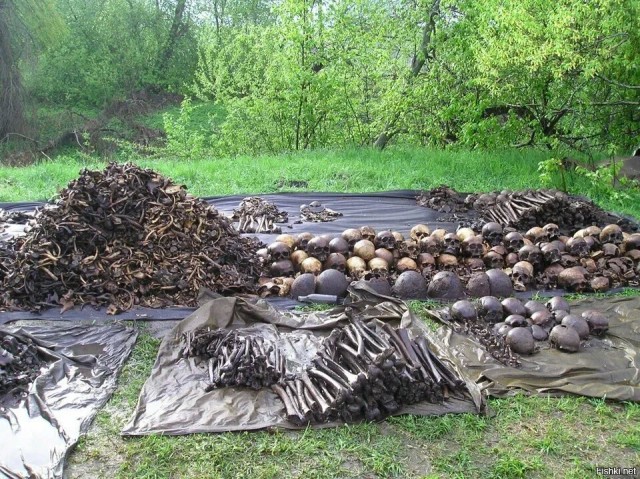 Мясной Бор, Долина смерти…