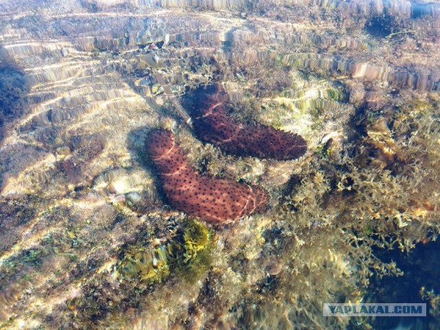 Немного отдыхательских фотокарточек на понедельник