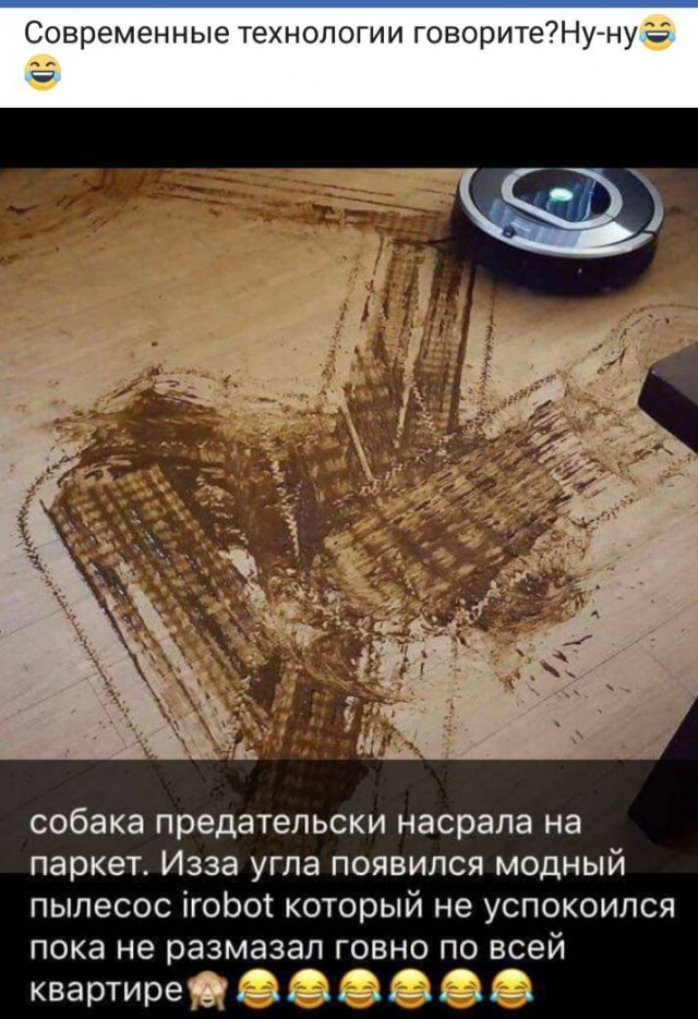 Как вы относитесь к роботам пылесосам?