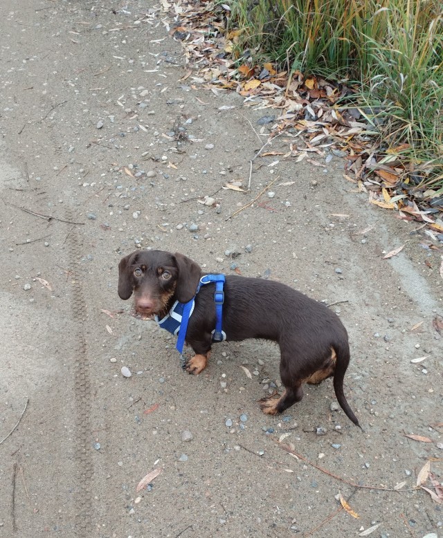 Хочешь узнать, как женщина занимается сексом? Посмотри на то, как она ест