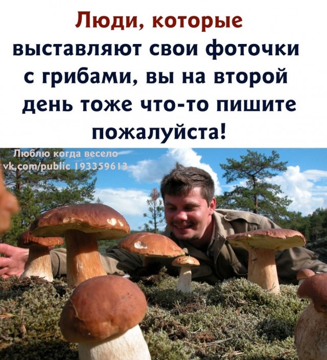 Жизнь домашнего приюта для котеек 468