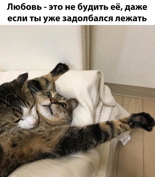 Весёлый полтишок 27.11.23