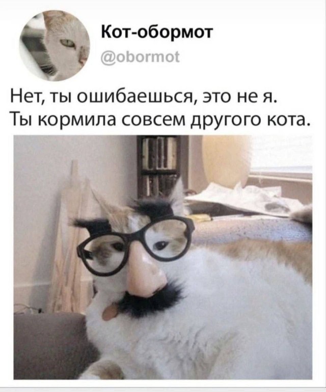 Всего понемногу. От 30.11.23